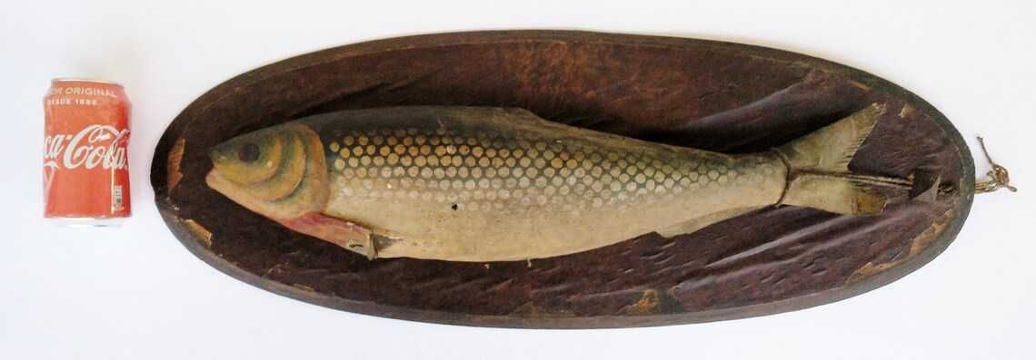 Antigo troféu de pesca em pasta de papel