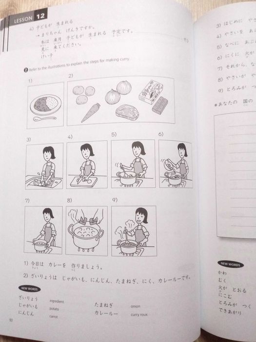 Japanese for Busy People 2 - Japoński książka i ćwiczenia, Japonia