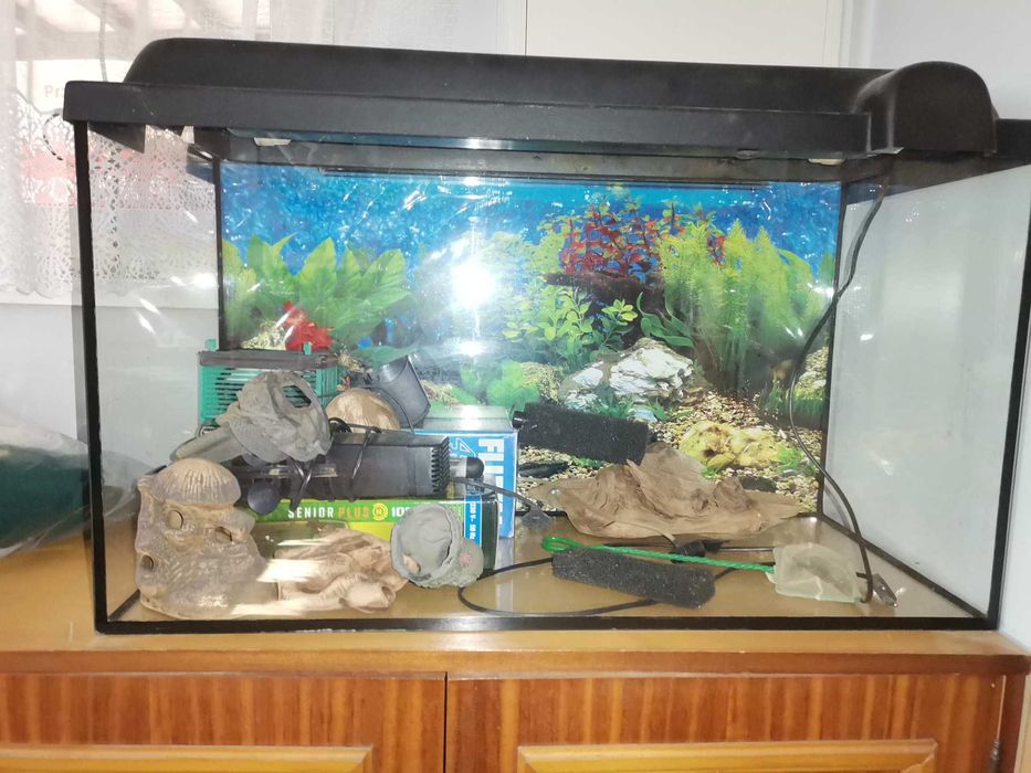 Akwarium z wyposażeniem 160L