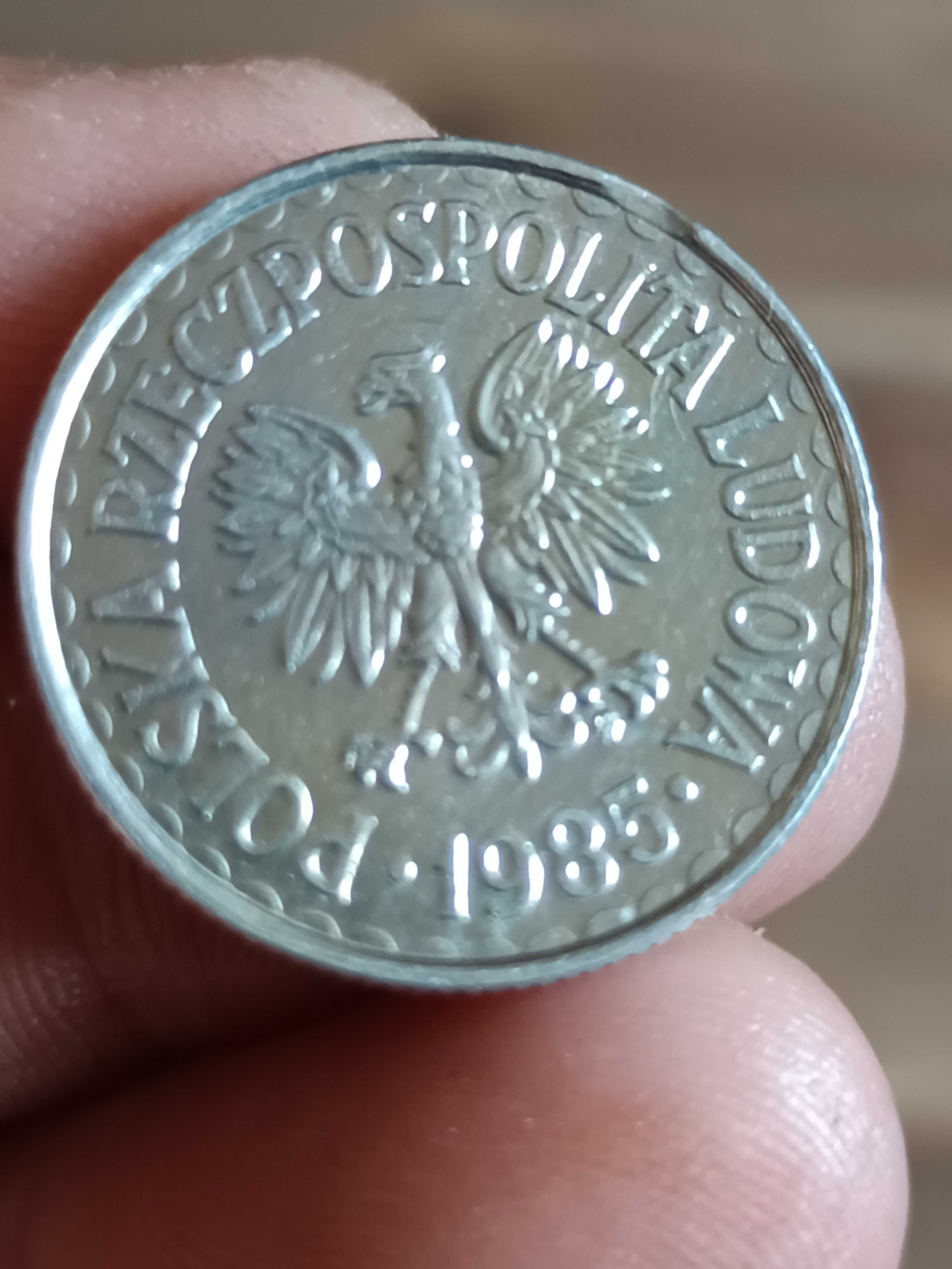 Sprzedam monete 1 zloty 1985 r koncowka blachy