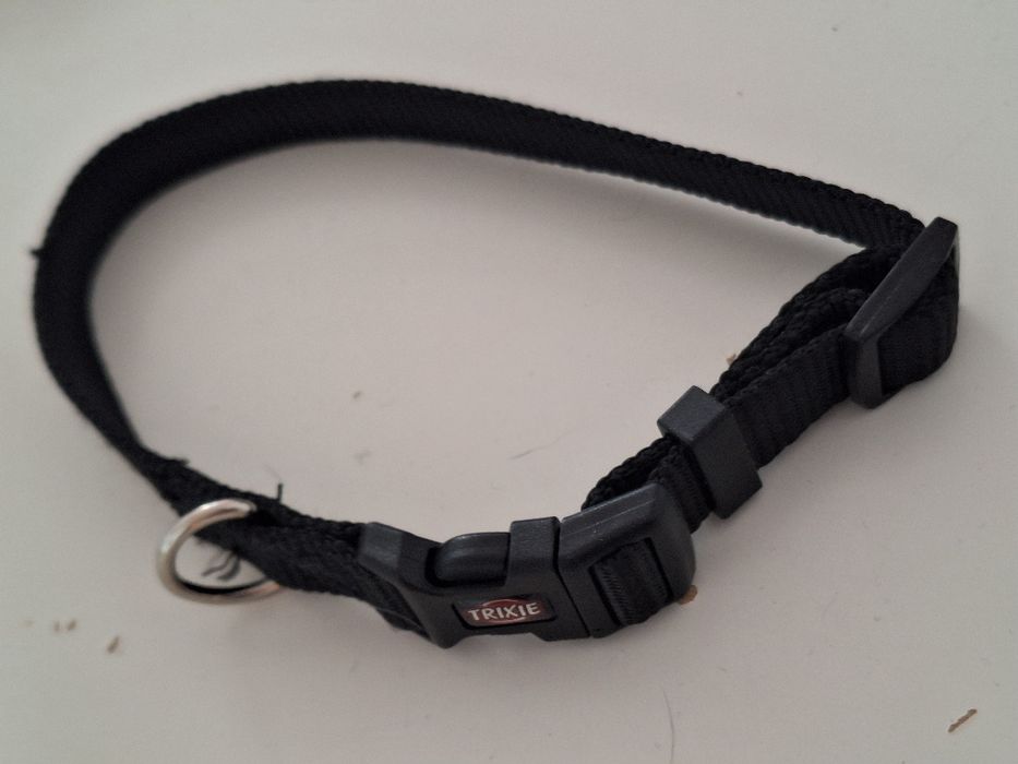 Obroża dla szczeniaka, małego psa