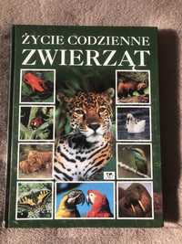 Książka/album - „Życie codzienne zwierząt” - na prezent