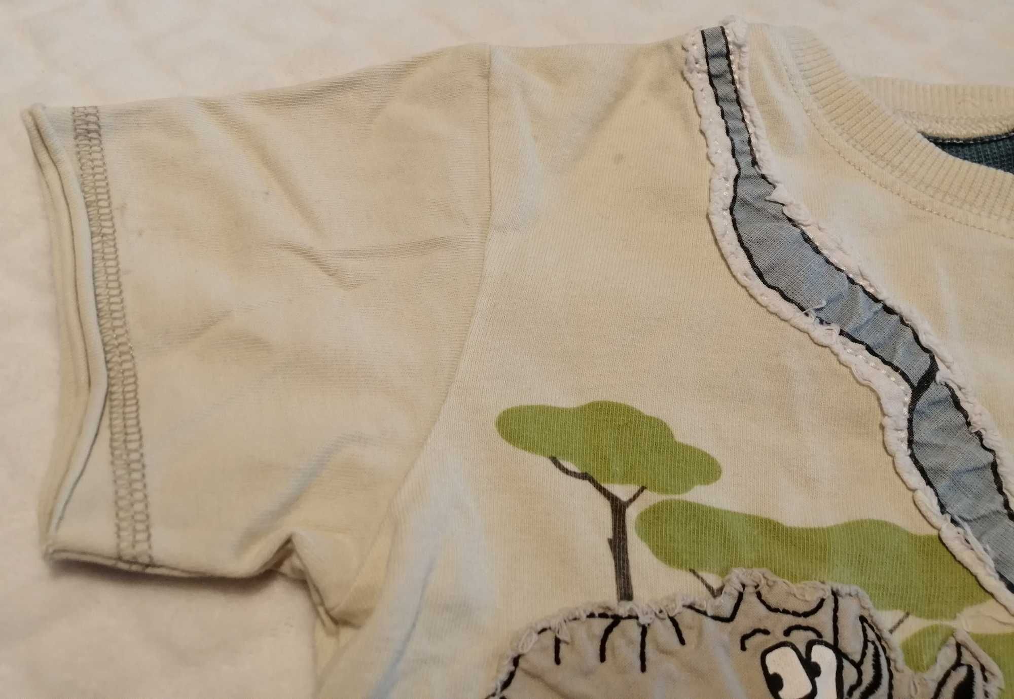 Koszulka, krótki rękaw, T-shirt, chłopięca, safari, 98, Next (Odzież)