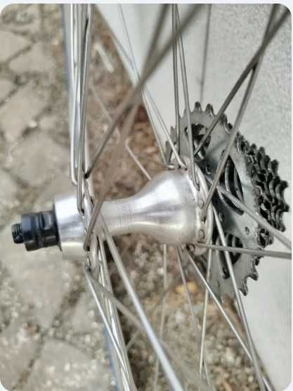 Rodas BTT Shimano 29 de Estrada Campagnolo