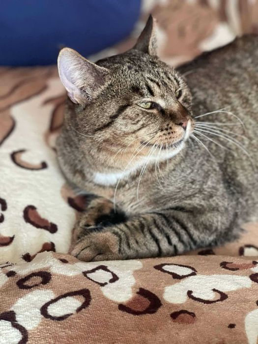 Benio grzeje kolanka