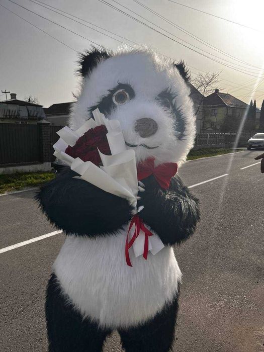 Ростові Ляльки. Аніматори. Експрес привітання. Львів. Свята