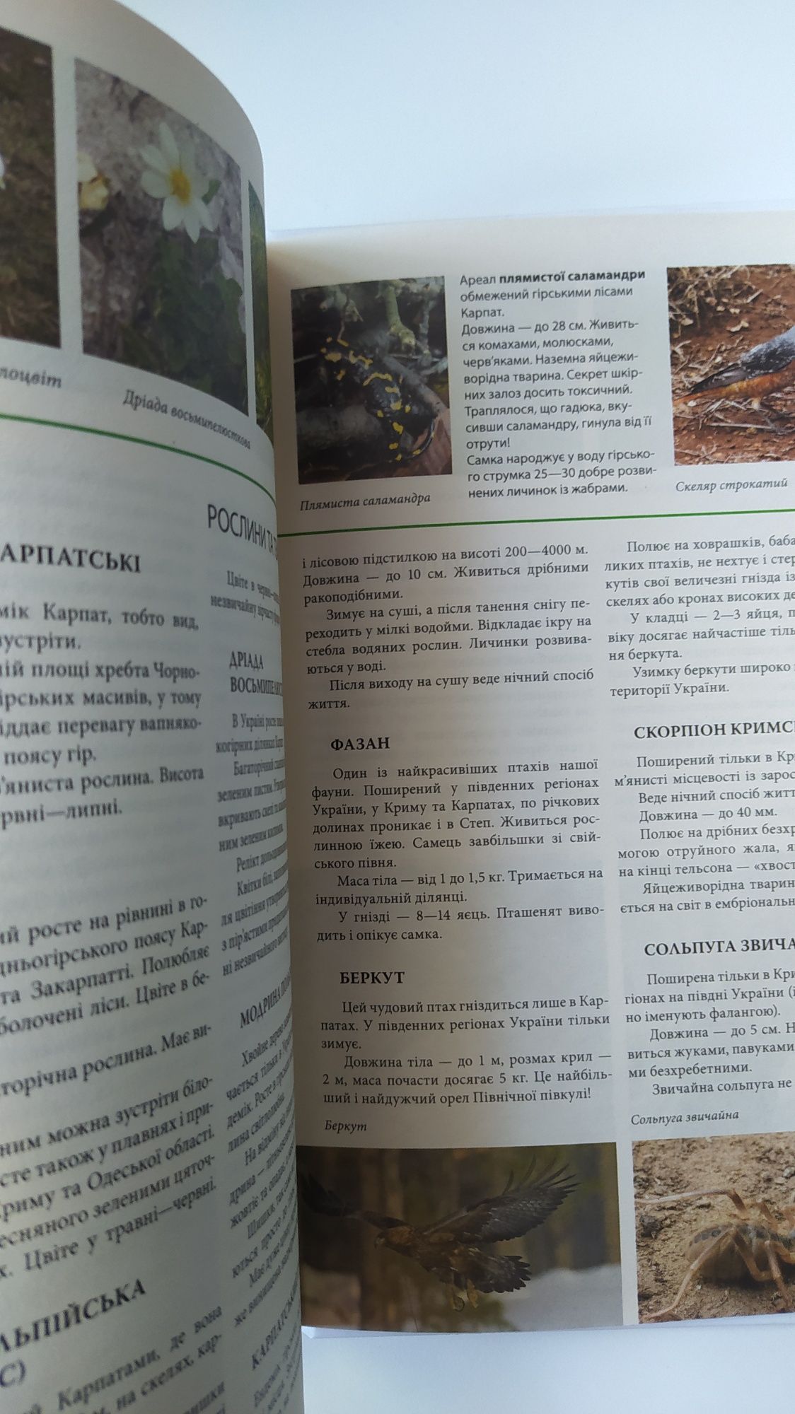 Енциклопедія Природа України 2010 р
