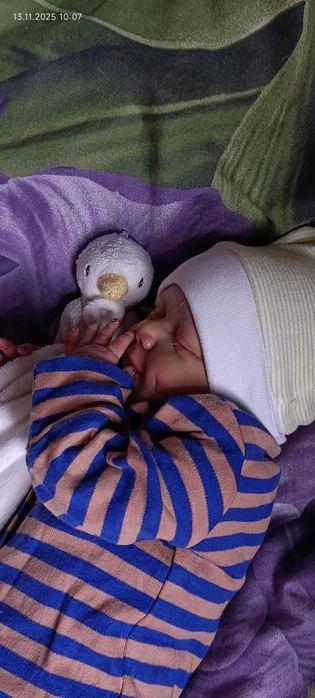 Молд Ейпріл 52 см