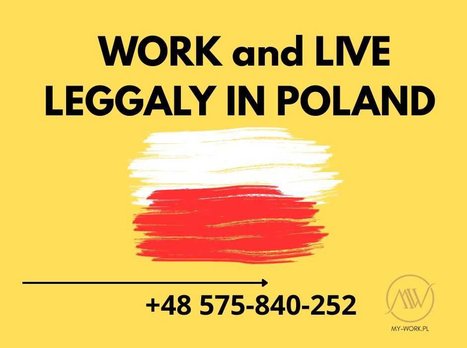 Wiza do Anglii, Limosa , A1, PESEL, Zezwolenie na pracę, PESEL, audyt