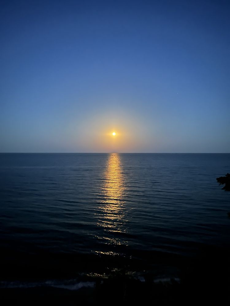 Здам номери на МОРІ