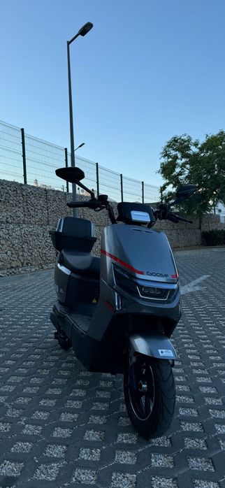 Mota Vortex Fox Gel.