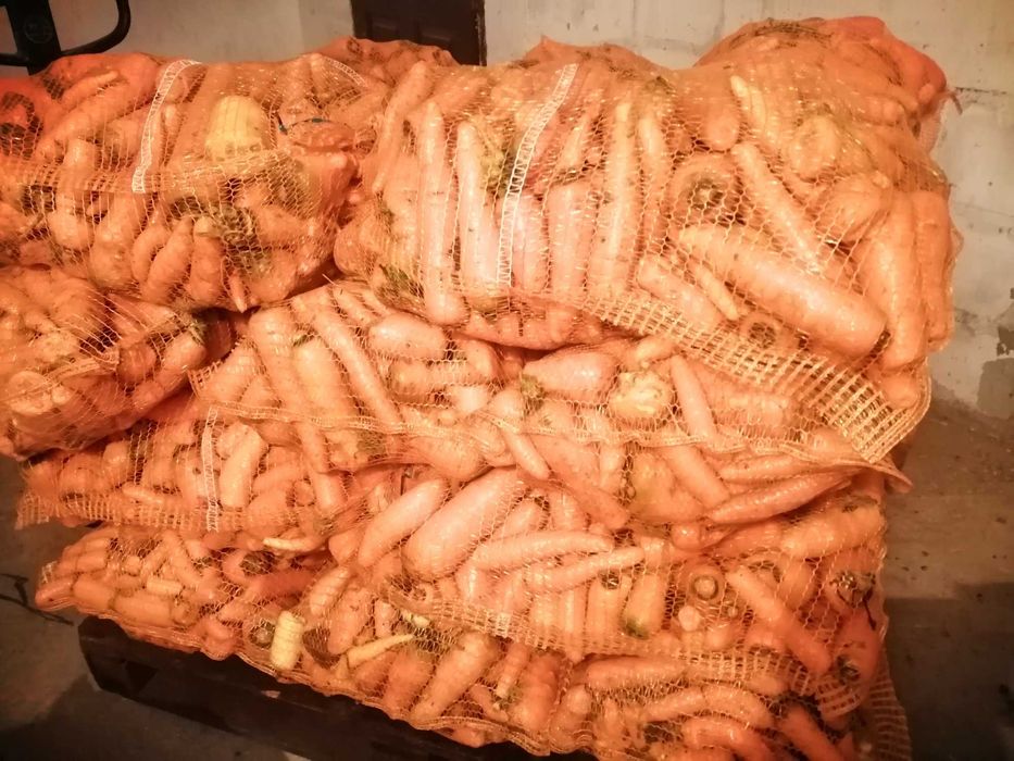 marchew i buraki odpadowe dzwierząt.