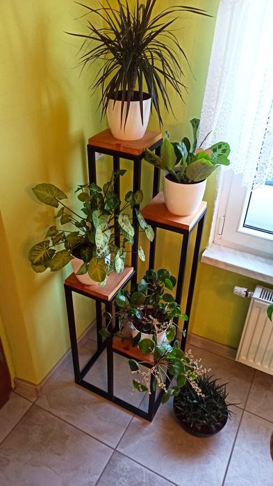 Kwietnik stalowy, 4 stopnie