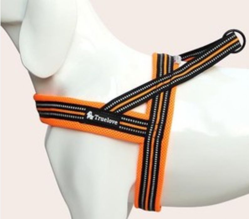 Szelki dla psa Truelove Active  r.XXXS