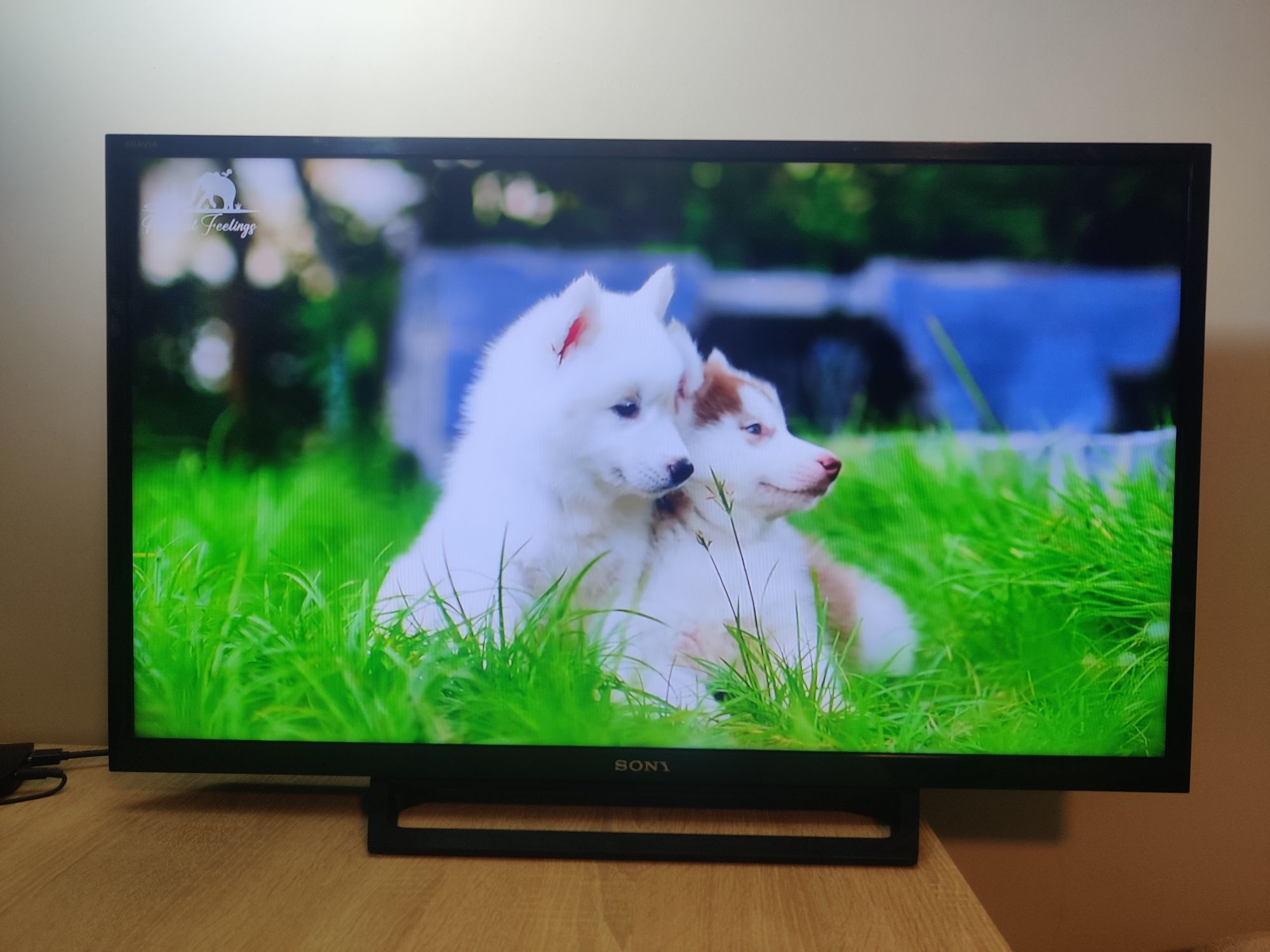 Телевізор Sony KDL-32RE303 32 діагональ