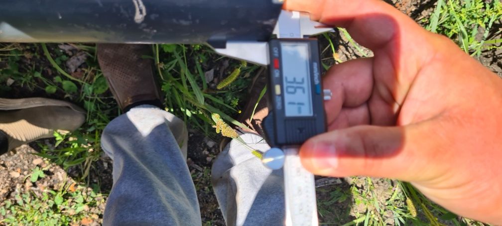 Solidne słupki pod siatkę – tylko 50 zł/szt. z rury fi 63,5x3,6