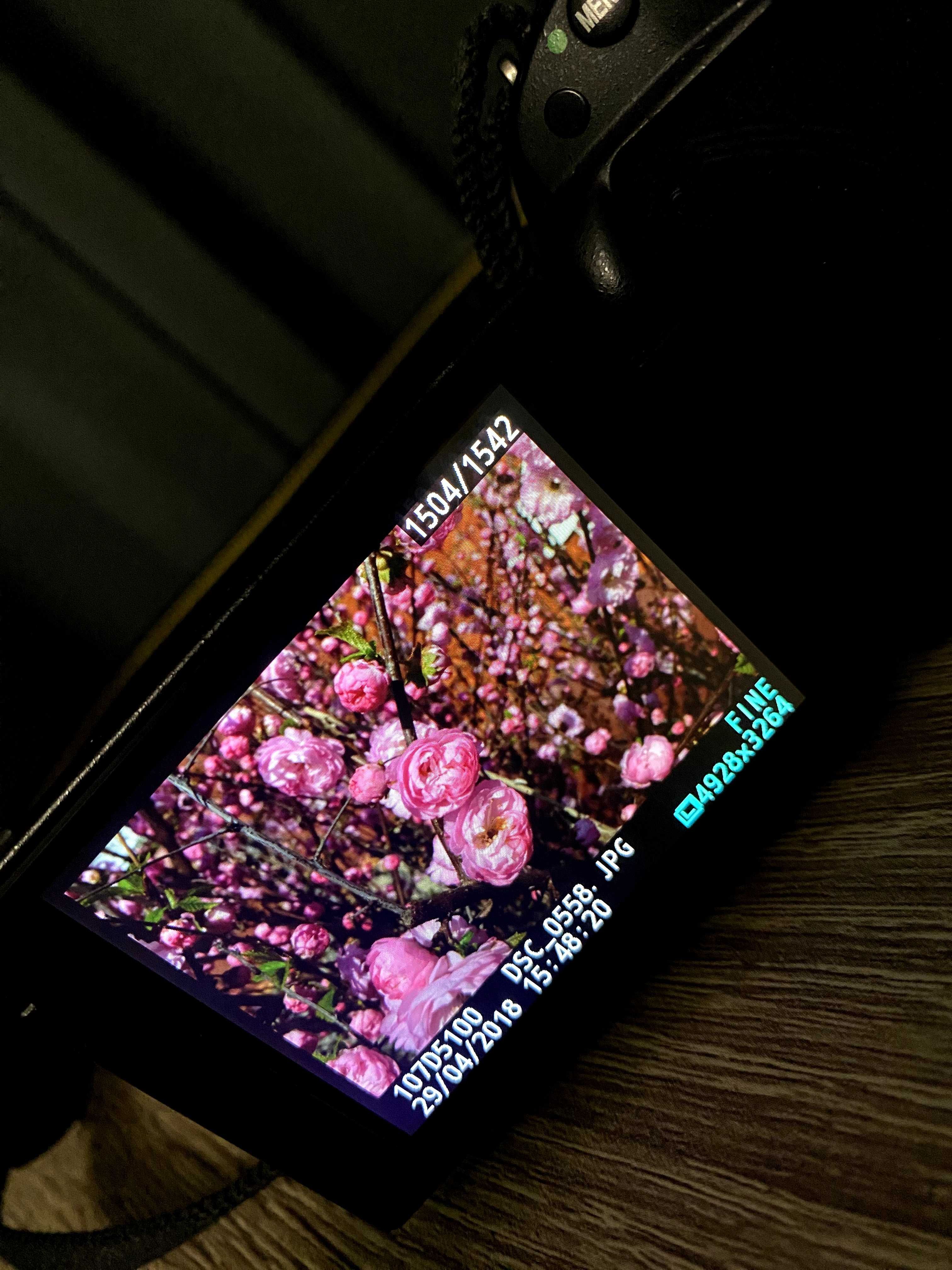 Дзеркальний фотоапарат Nikon D5100 kit 18-55
