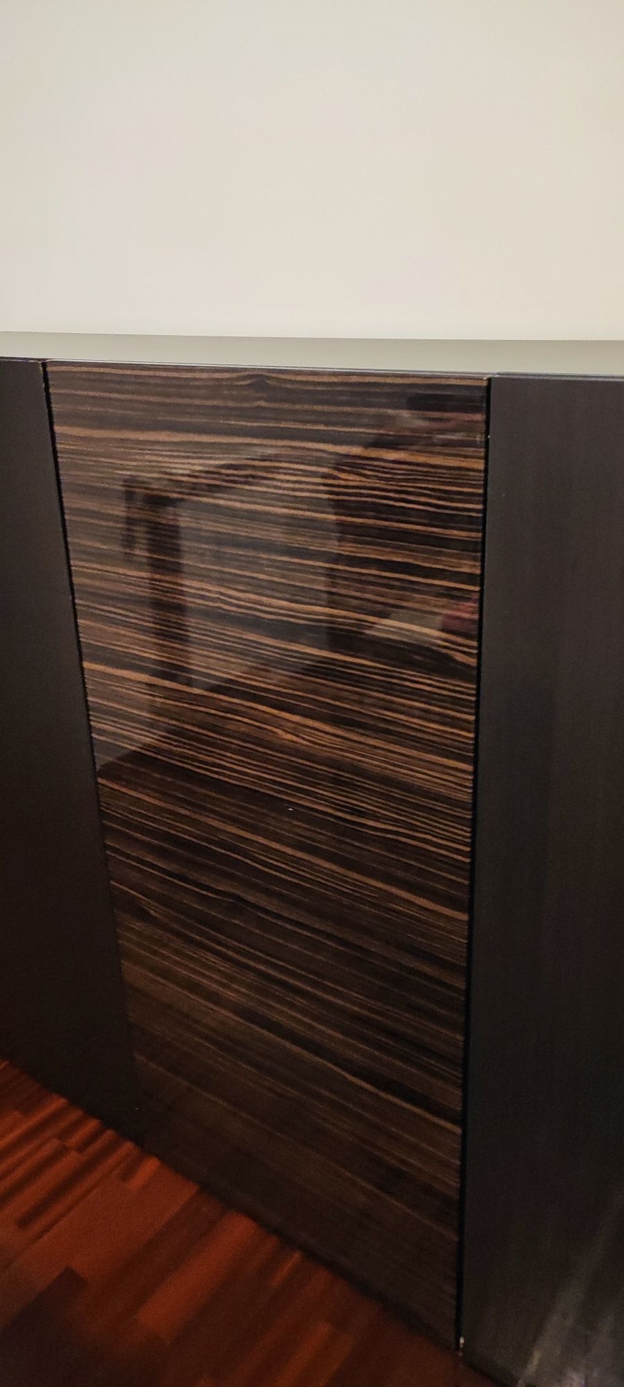 Portas IKEA Besta