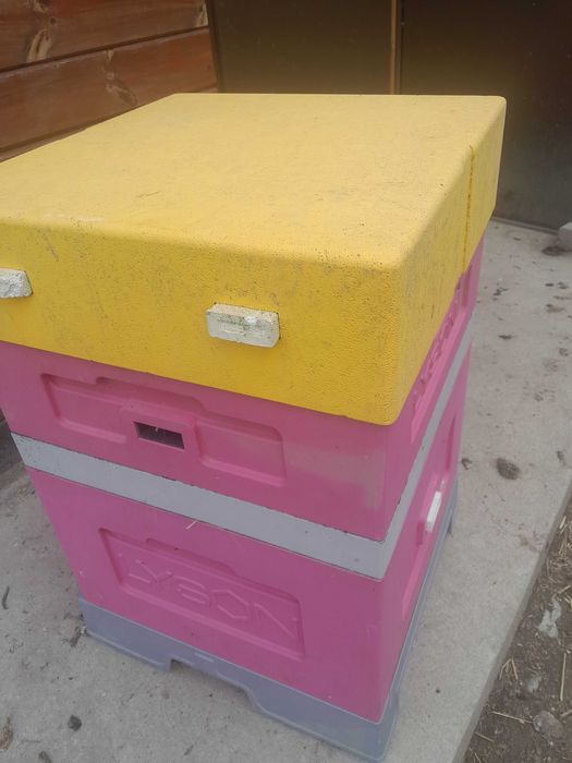 sprzedam UL wielkopolski