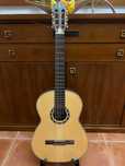 Viola de Fado APC