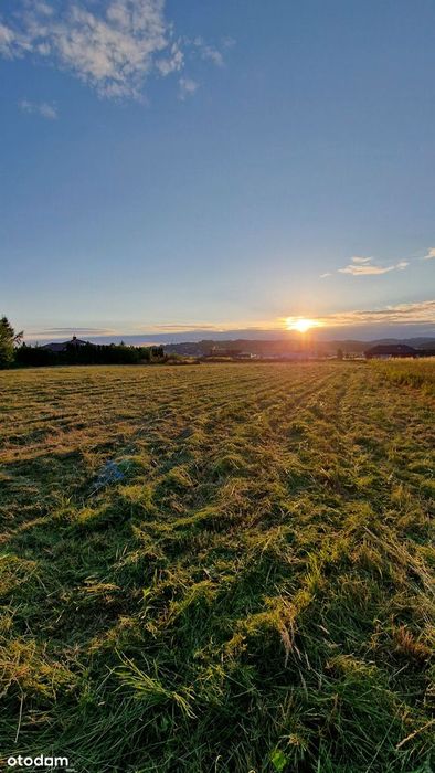 Działka budowlana Świniarsko 25tyś za 1ar