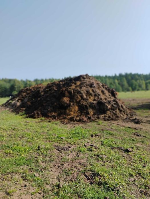 Obornik bydlęcy sprzedam zamienię na baloty słomy, siana sianokiszonki