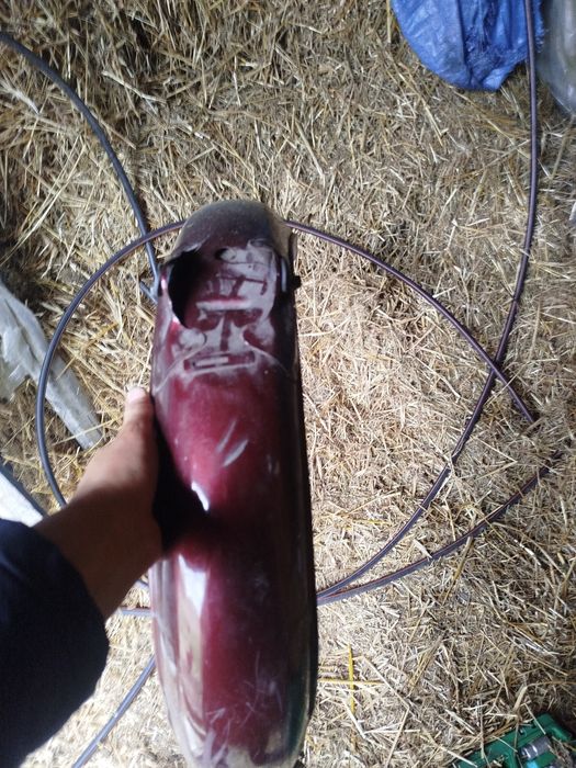 Продам крила на альфа