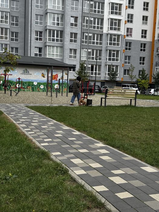 ‼️Оренда простороі 1-км кв, ЖК Галицький