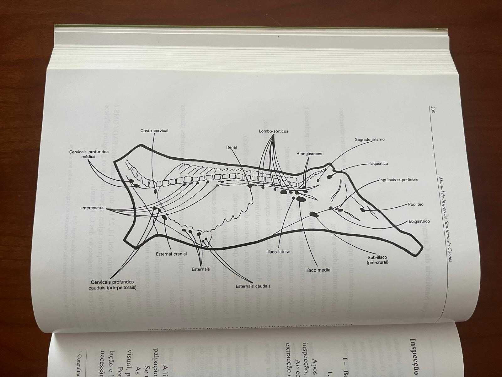 Livro "Manual de Inspecção Sanitária de Carnes" de J. Infante Gil