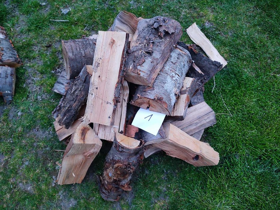 Drzewo do wędzenia czereśnia plus wiśnia gratis