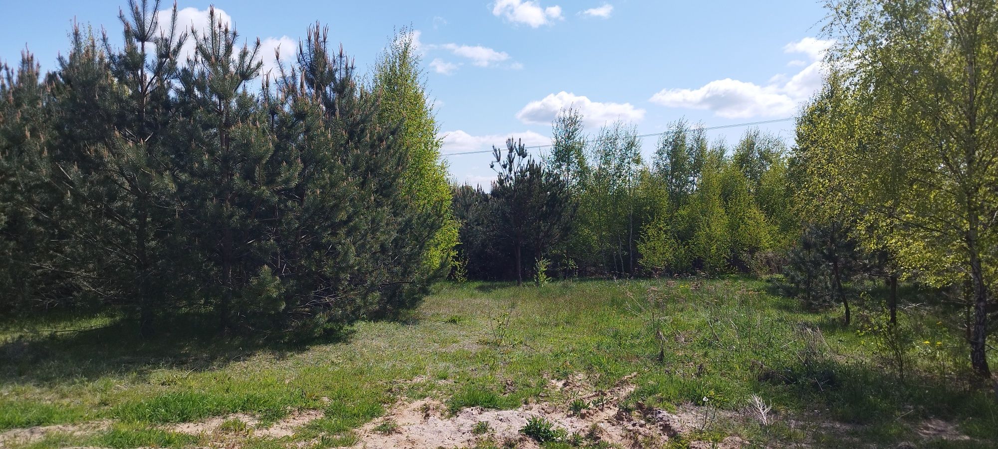 Działki budowlane(KASZUBY)