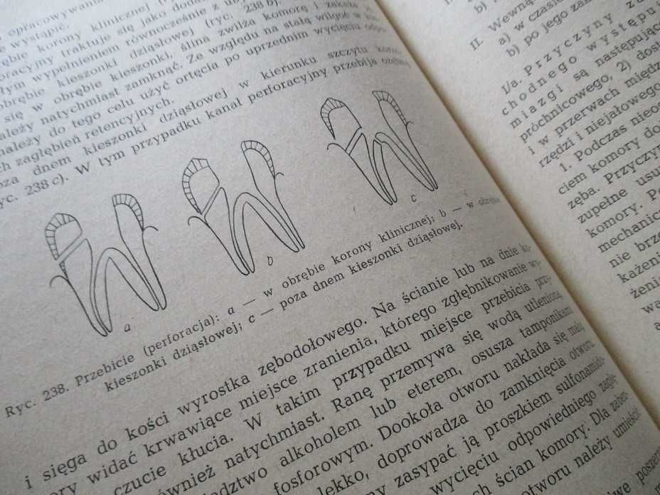 Stomatologia zachowawcza/Zarys stomatologii dziecięcej/stomatologia