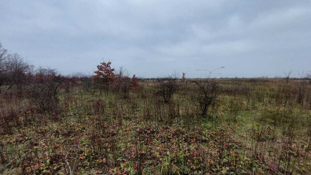 Продаж земельної ділянки в с.Дроговиж, Миколаївський район.