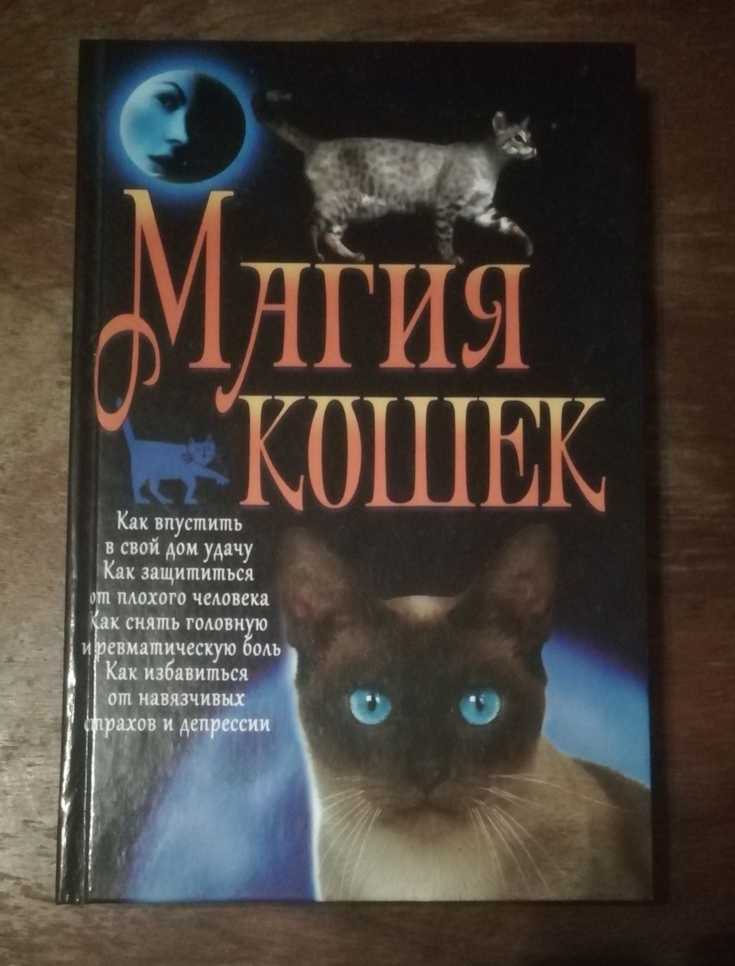 Книга Магия кошек