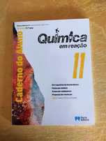 Química em reação  - 11.º ano - versão professor - NOVO