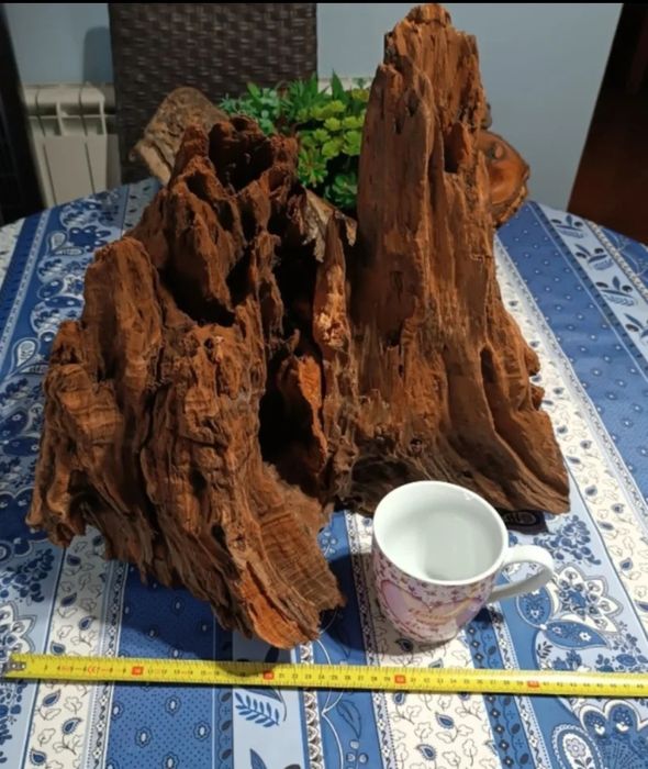 Raiz tronco decorativa