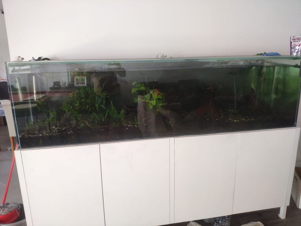 Aquario com movel 660 litros