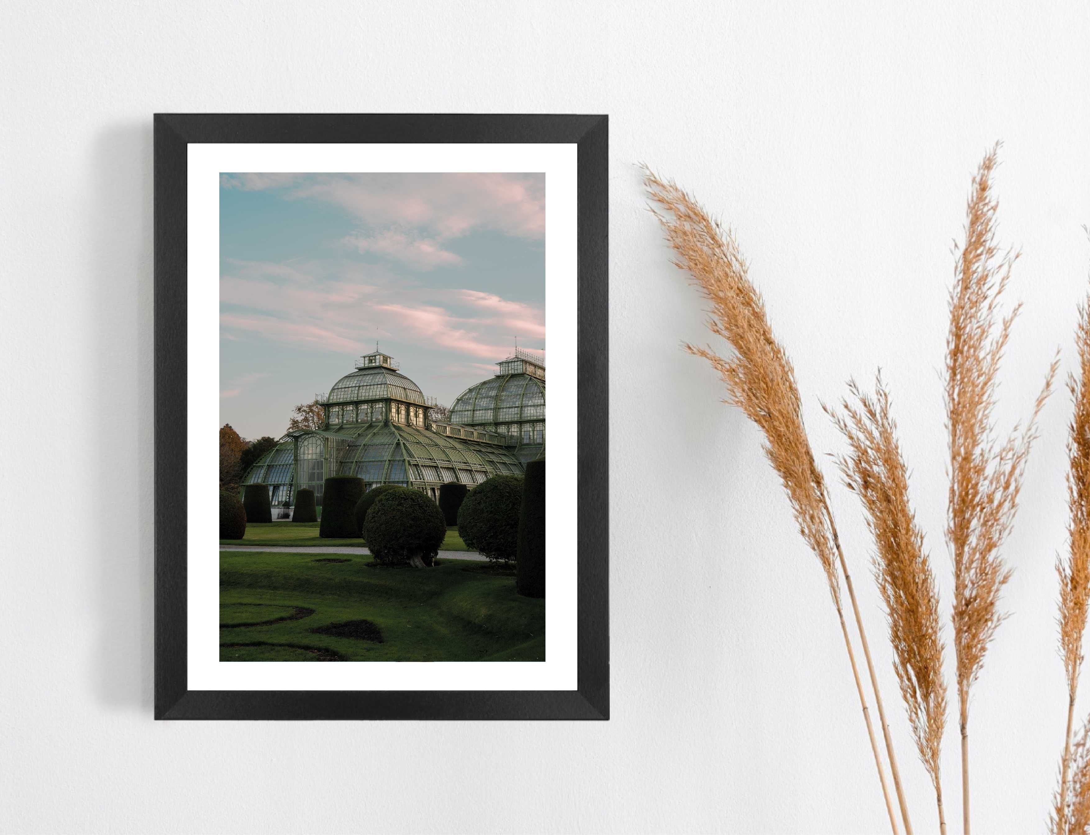 Plakat A3 Palmiarnia Schonbrunn Wiedeń