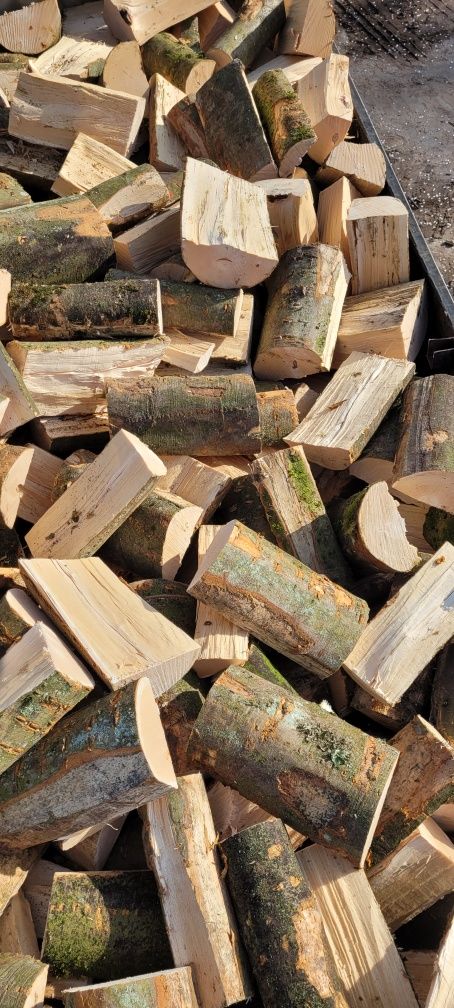 Drewno kominkowe liściaste buk -transport gratis
