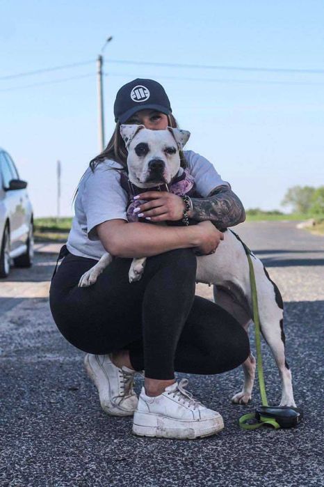 Dziś Lima jest gotowa - szukamy dla niej domu!