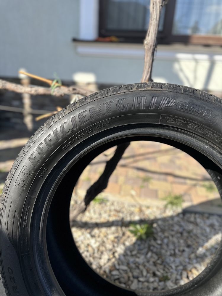 Goodyear Efficient  grip