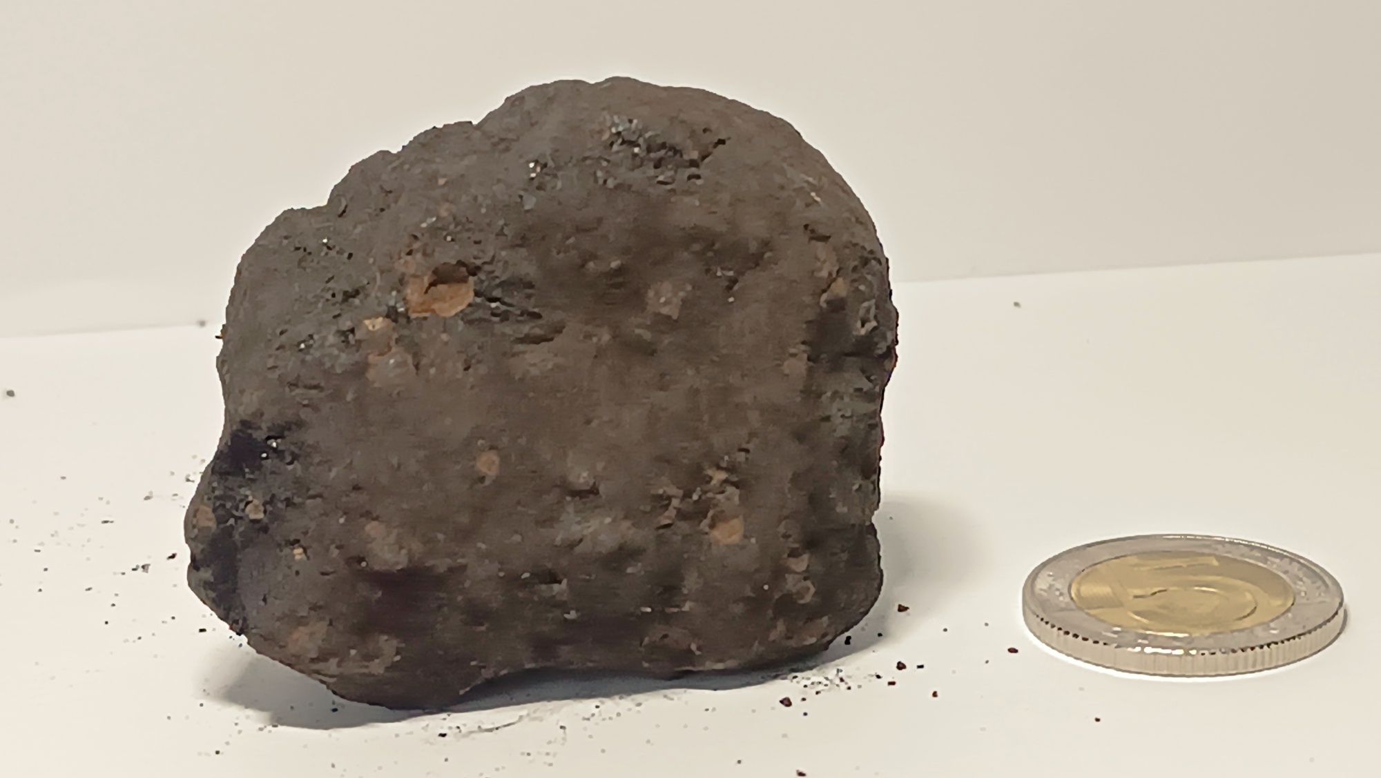 Fragment węgla z konkrecjami