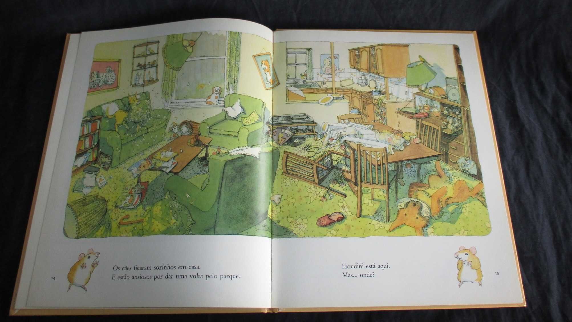 Livro Onde Está o Hamster? Terence Blacker Terramar