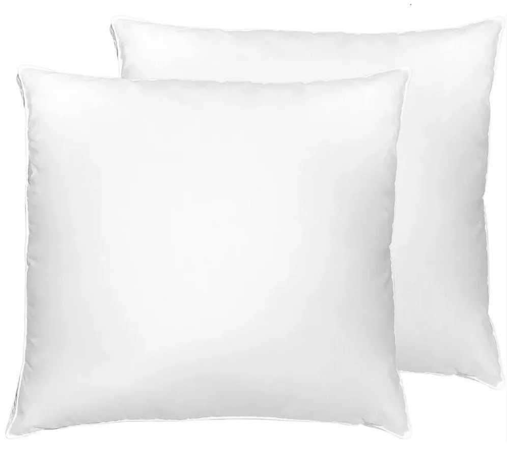 Conjunto 2 Almofadas interior penas 60x60cm (são novas)