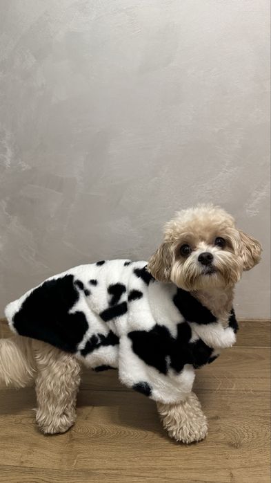 Куртка для собак