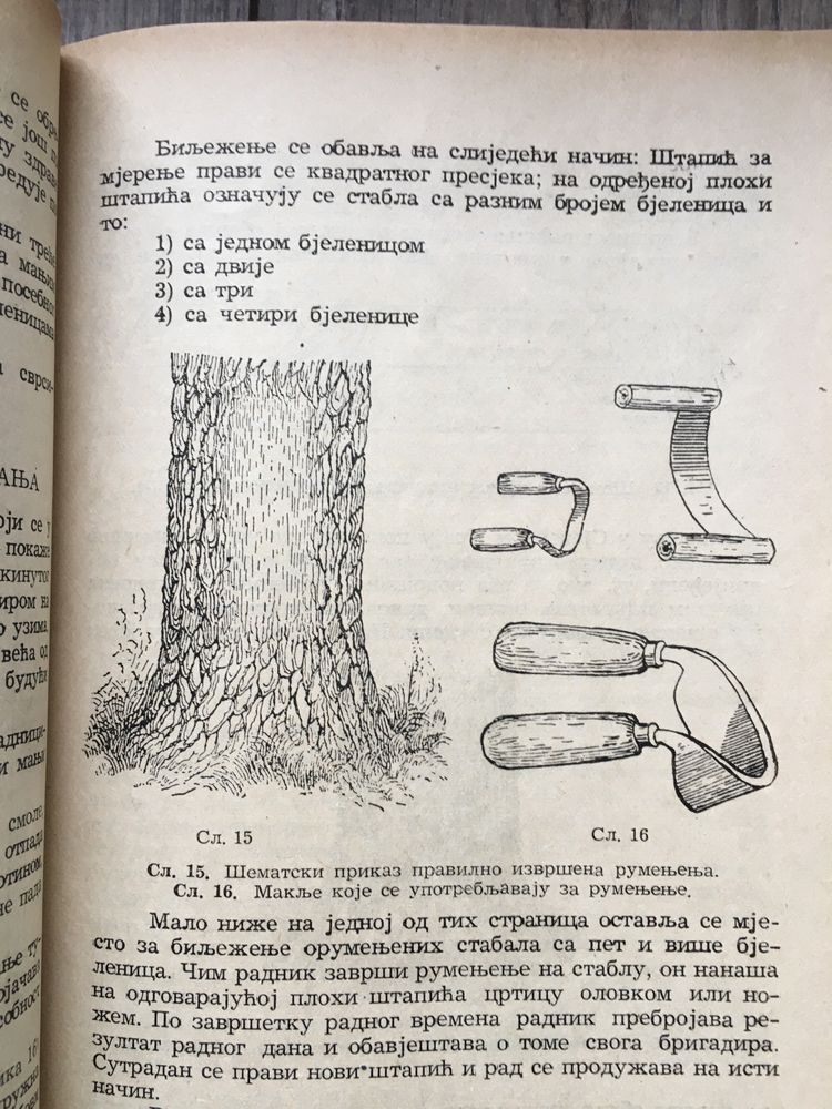 Żywicowanie leśnictwo zestaw trzech książek