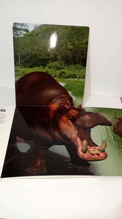 Os Incríveis Animais Selvagens Gigantes - RESERVADO