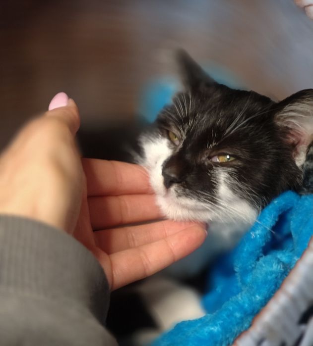 Szymuś błaga o szansę i dom ...