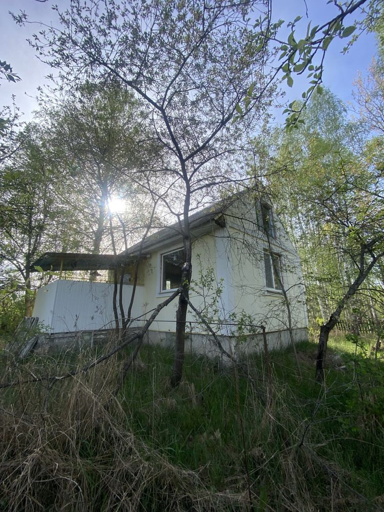 Продам дачу в Бобровському масиві 1
