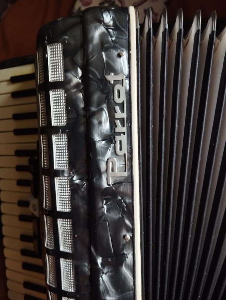 Akordeon Parrot 60 bas